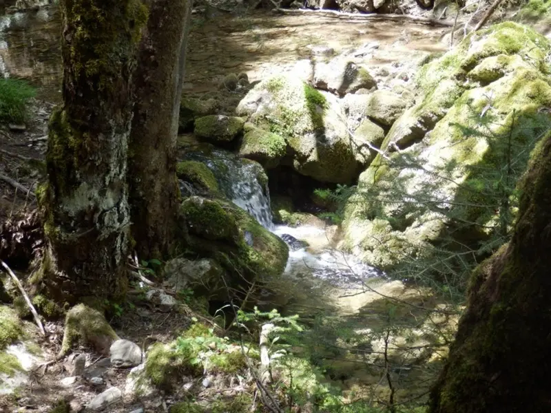 Small waterfall among mossy rocks on the Menalon Trail near Elati