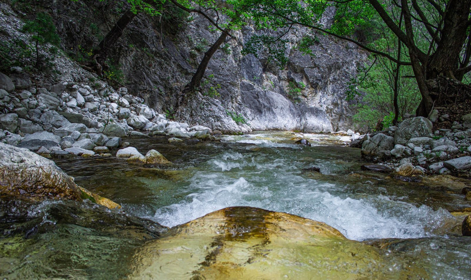 The Lousios Gorge in Arcadia, Greece — emerald river between rocky canyon walls