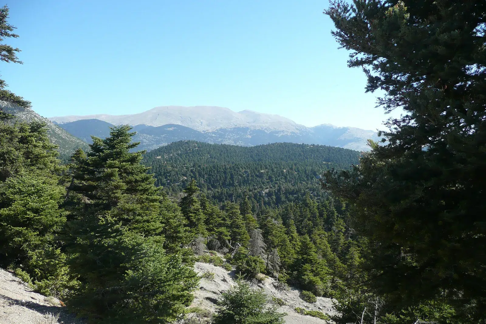 On the ancient path from Delphi to the Corycian Cave