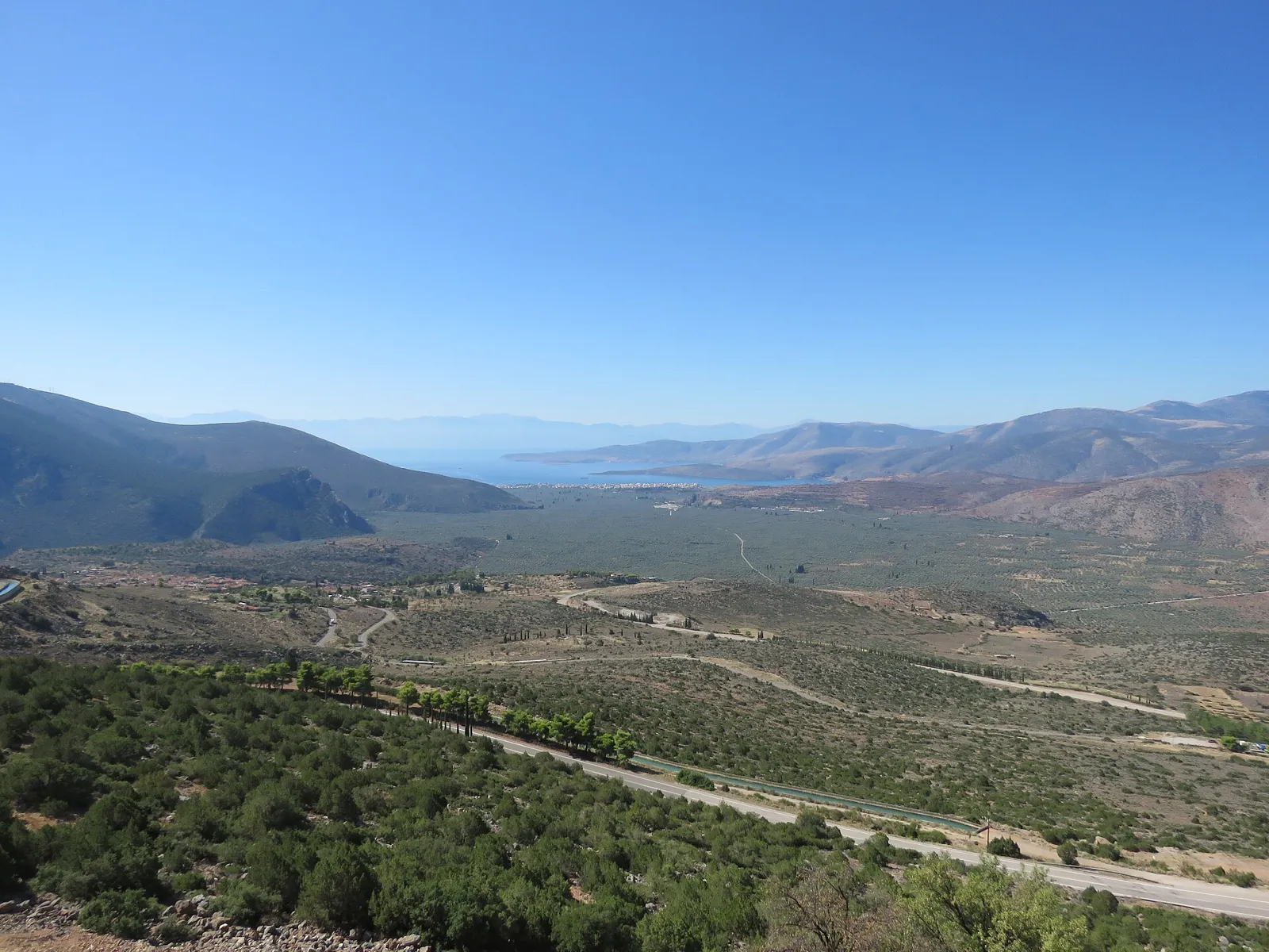 The olive grove and the port of Itea seen from Delphi