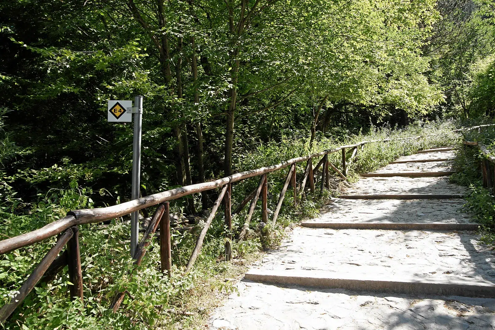The E4 path from Prionia through the forest of Mount Olympus